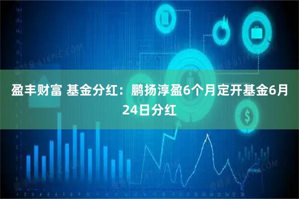 盈丰财富 基金分红：鹏扬淳盈6个月定开基金6月24日分红