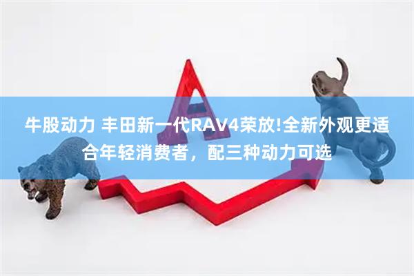 牛股动力 丰田新一代RAV4荣放!全新外观更适合年轻消费者，配三种动力可选