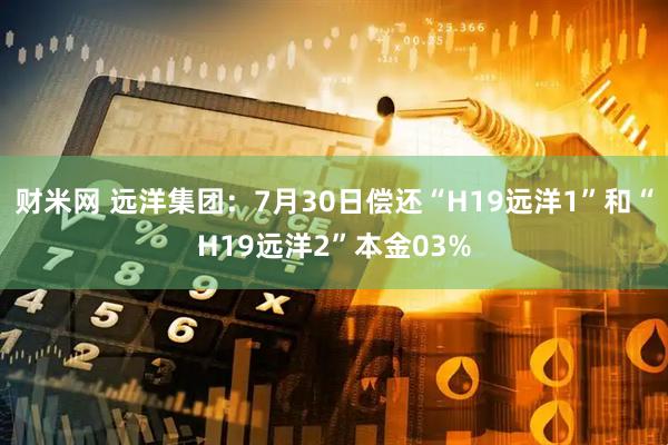 财米网 远洋集团：7月30日偿还“H19远洋1”和“H19远洋2”本金03%